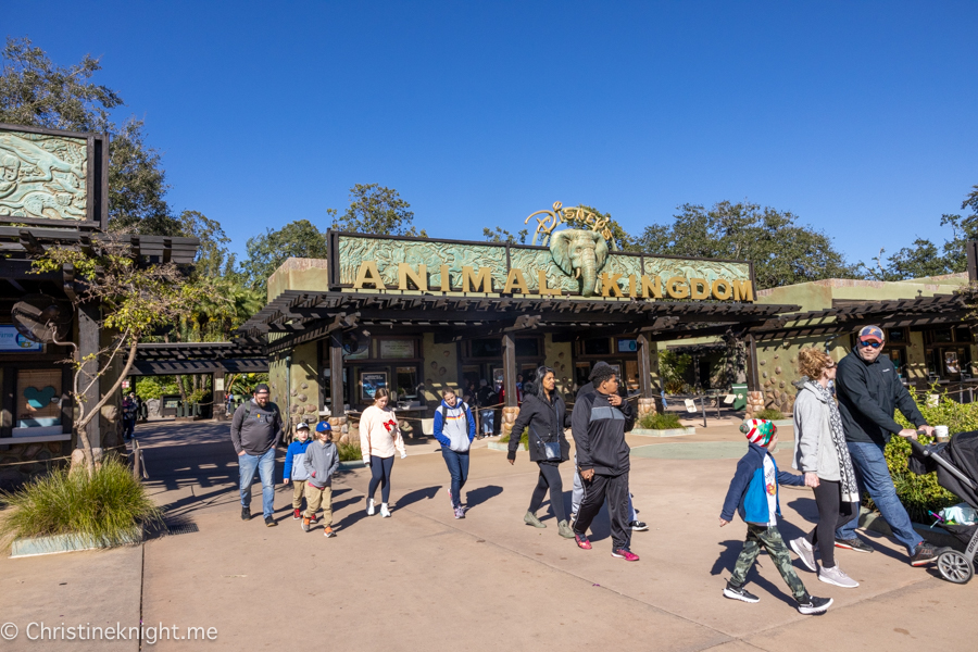 Walt Disney World Animal Kingdom