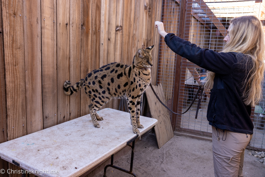 Wildlife Learning Center California