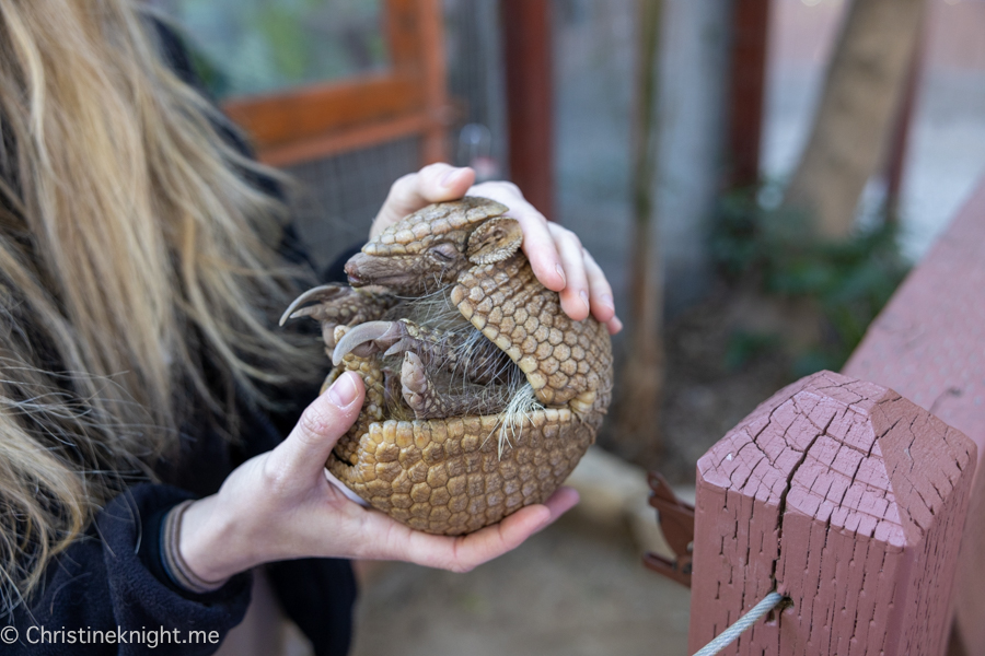 Wildlife Learning Center California