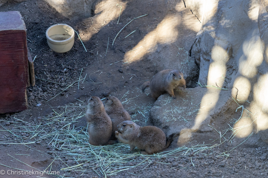 Wildlife Learning Center California