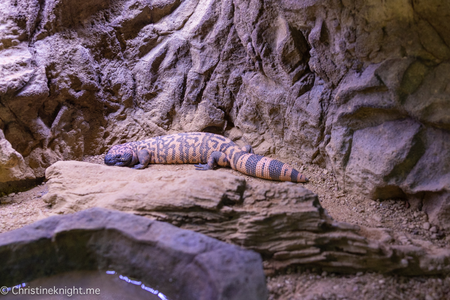 Wildlife Learning Center California