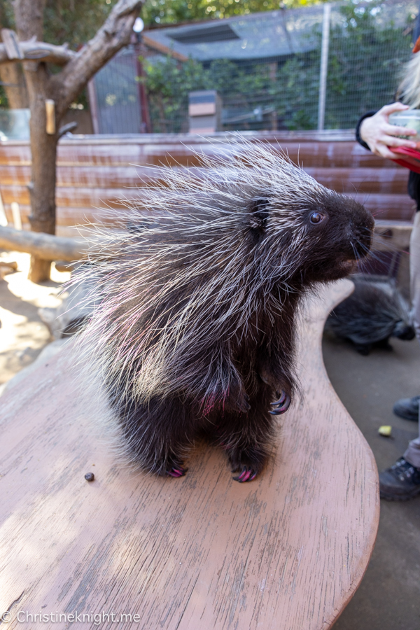 Wildlife Learning Center California