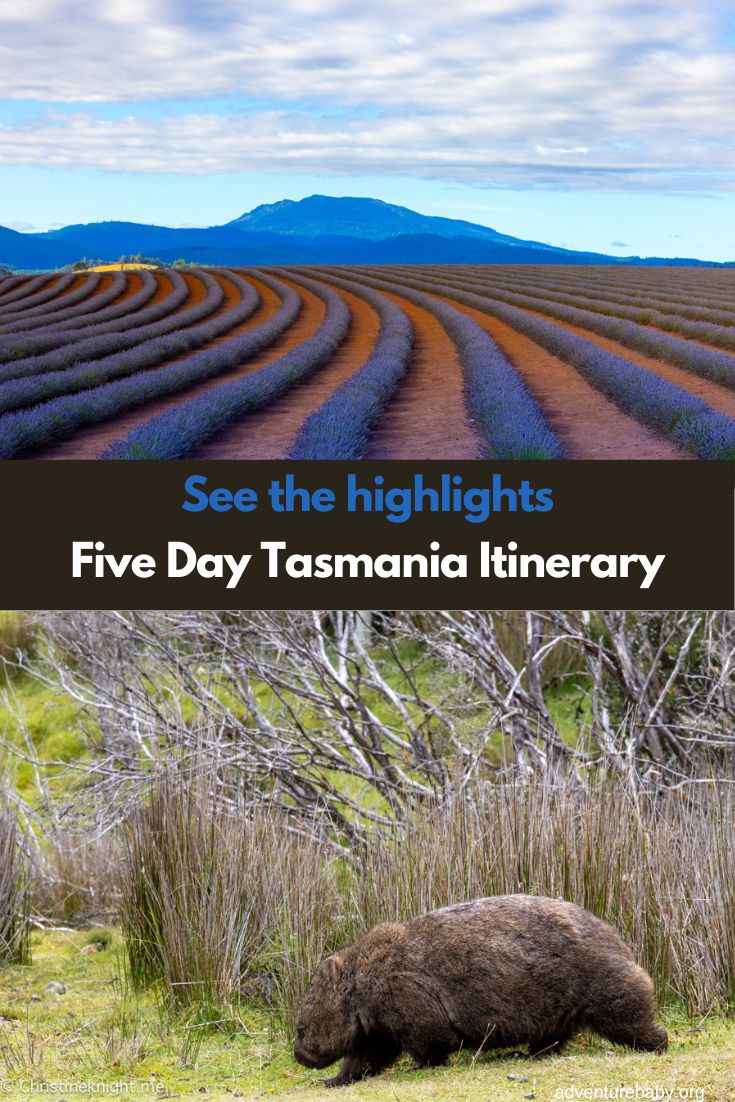 Five Day Tasmania Itinerary