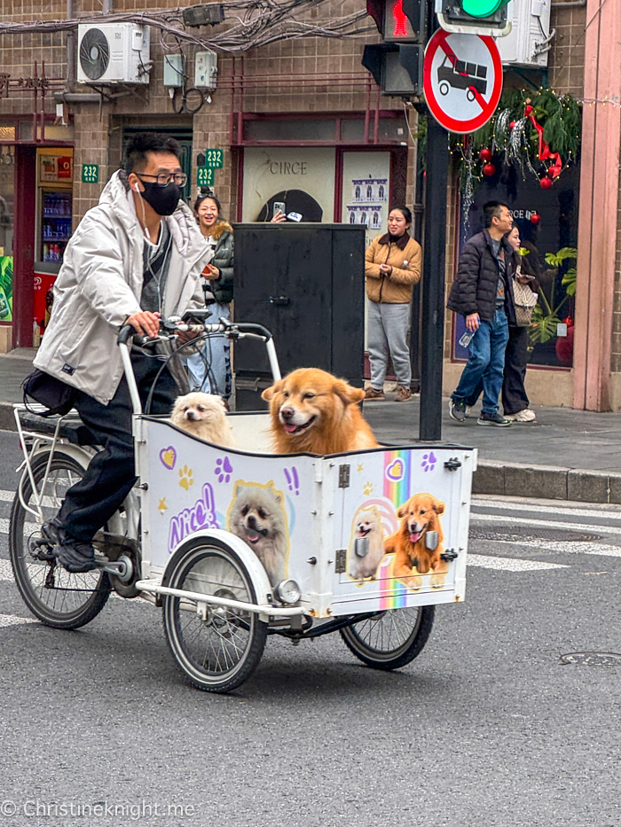 Shanghai In Three Days: A Family-Friendly First-timers' Guide.