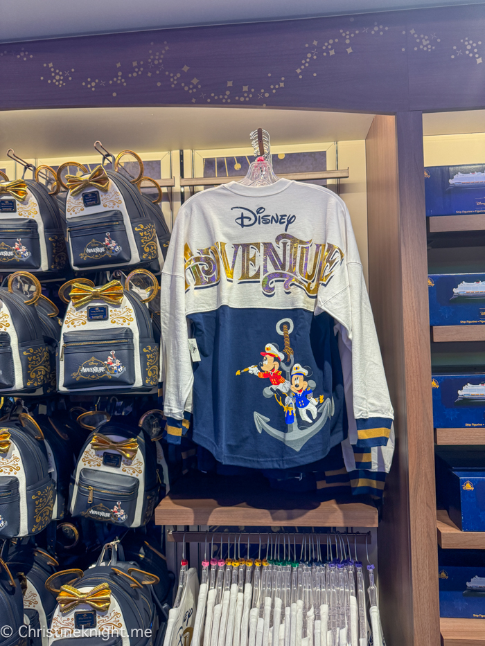 Disney Adventure Singapore Cruise