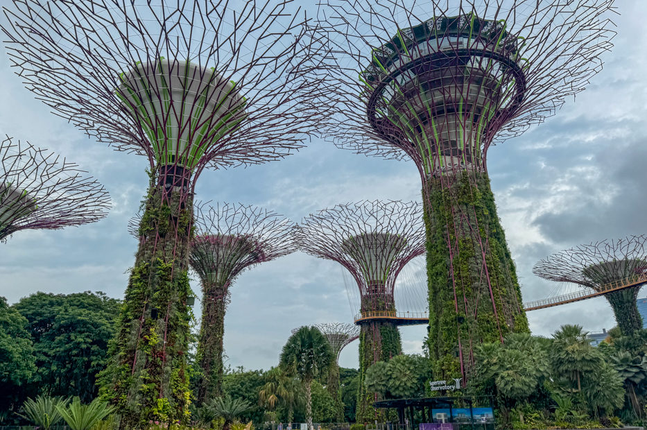 Singapore with kids